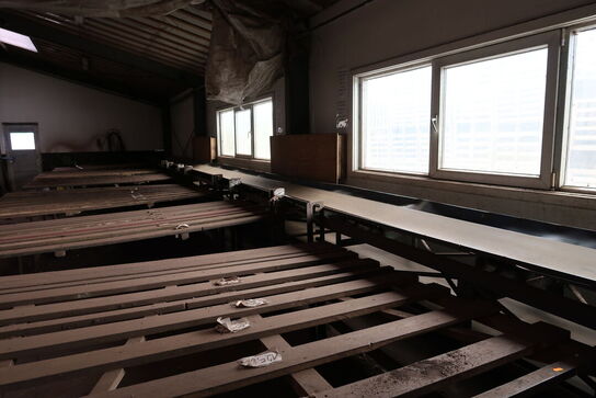 Transportbånd med div. Arbejdsborde