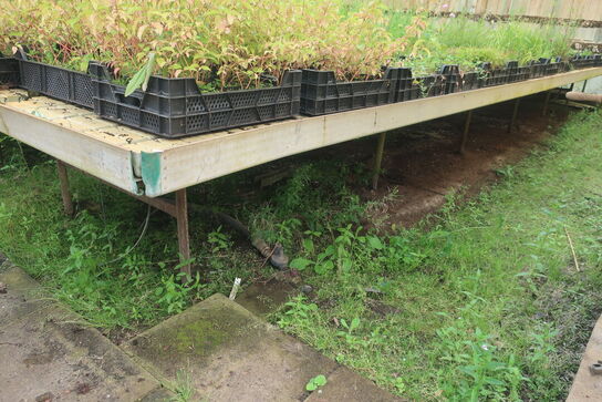 22 stk. Vandingsborde til højre i drivhuset