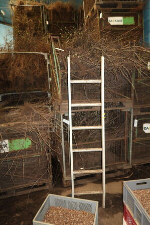 Stige samt paller med indhold