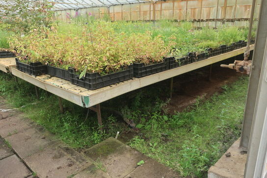 22 stk. Vandingsborde til højre i drivhuset