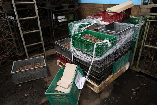 Stige samt paller med indhold