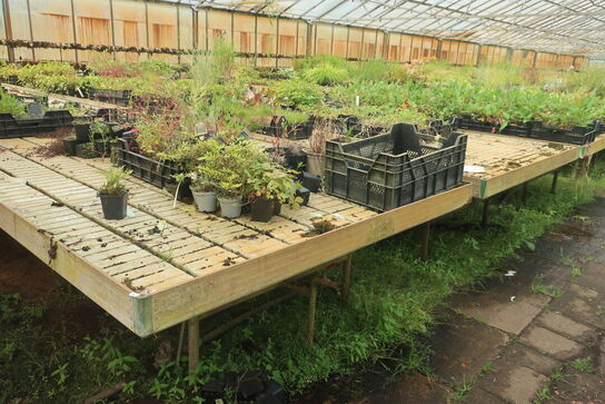 22 stk. Vandingsborde til venstre i drivhuset