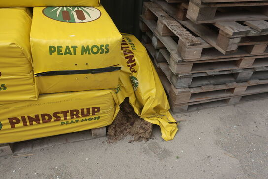 Palle med spagnum PINDSTRUP