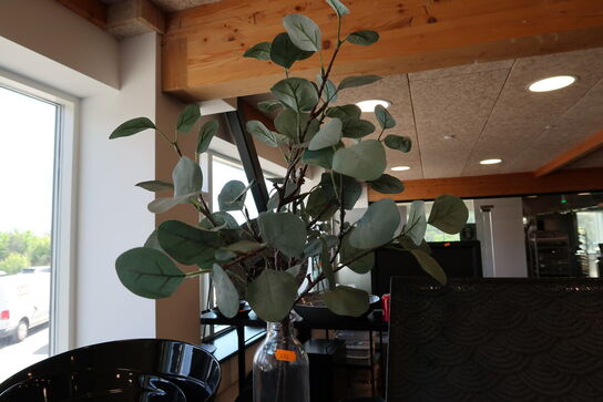 Karaffel samt kunstige planter
