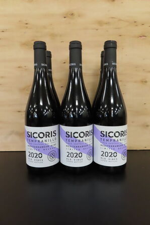 6 fl. Rødvin CASTELL DEL REMEI 750 ml.