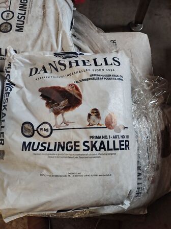 Parti knuste muslingeskaller
