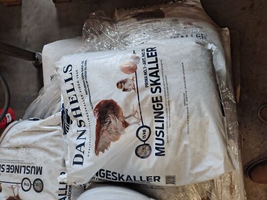 Parti knuste muslingeskaller