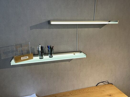 Skab samt 2 stk. hylder