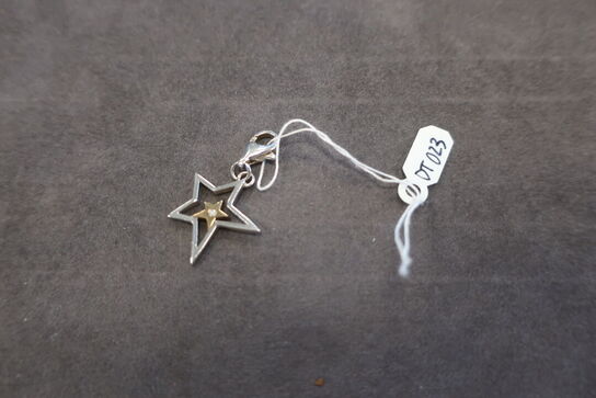 Charms Superstar Silver Charm