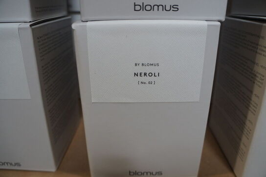 2 stk. Duftlys BLOMUS