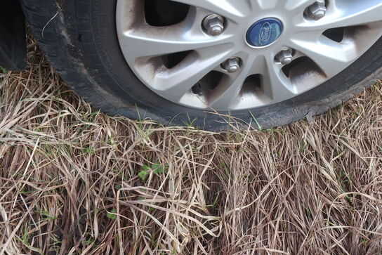 Varebil FORD TRANSIT CUSTOM VAN 2.0 TDCI - FWD (170 HK) med indhold