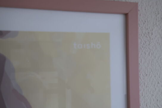 2 stk. plakater i rammer 