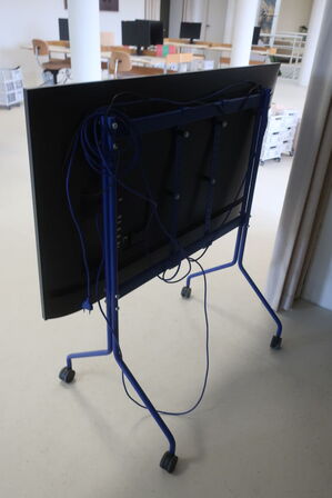 Fjernsyn 50" SAMSUNG UE50AU7175U