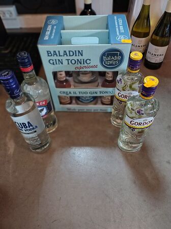 5 fl. Spiritus Gin og vodka