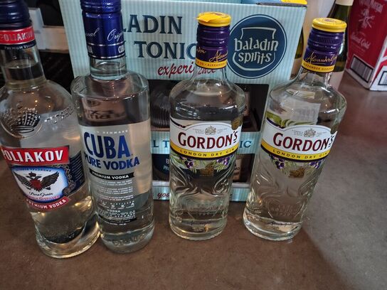 5 fl. Spiritus Gin og vodka