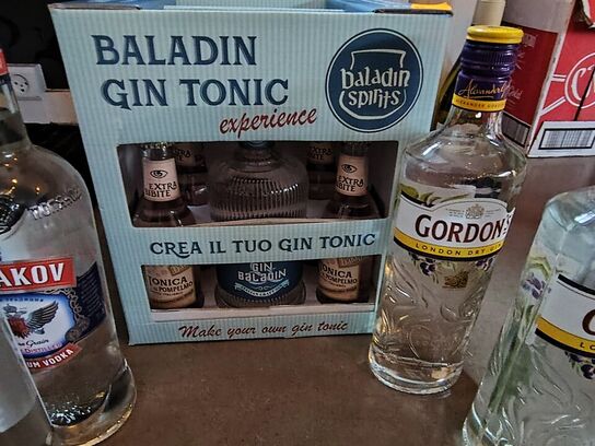 5 fl. Spiritus Gin og vodka