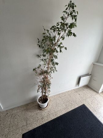 "Tøm rummet" - Se billeder