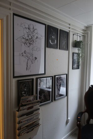 Diverse billeder m.v. på vægge