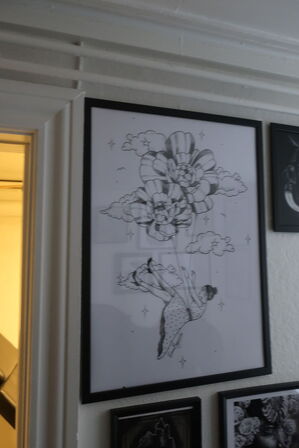 Diverse billeder m.v. på vægge