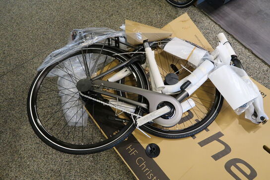 Citybike WINTER Grey Brown Winter 1