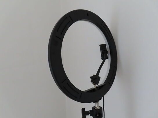 Div. møbler og vogne med indhold