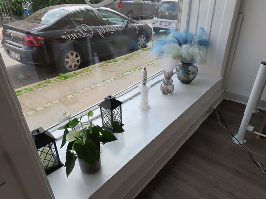 Div. udstillings genstande og glashylder