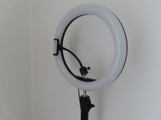 Div. møbler og vogne med indhold