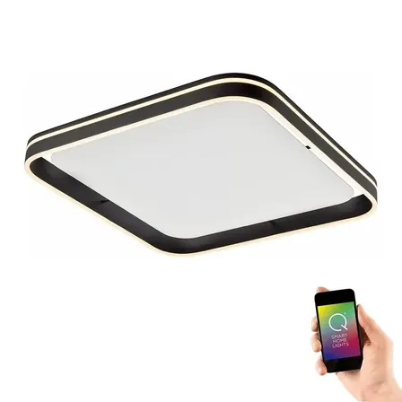 Paul neuhaus q-vito led smart Loftlampe antracit(ubrugt)