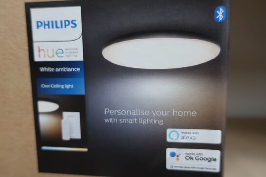 Loftslampe PHILIPS Cher Ceiling Light 