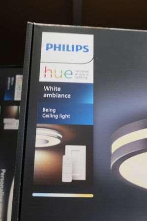 Loftslampe PHILIPS Being Ceiling Light 