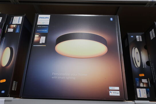 Loftslampe PHILIPS Enrave M Ceiling Light 