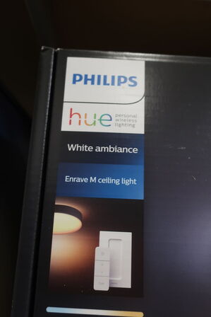 Loftslampe PHILIPS Enrave M Ceiling Light 