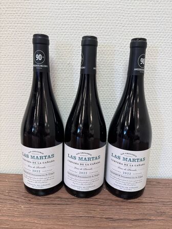 3 fl. San Gregorio 2022 Las Martas 