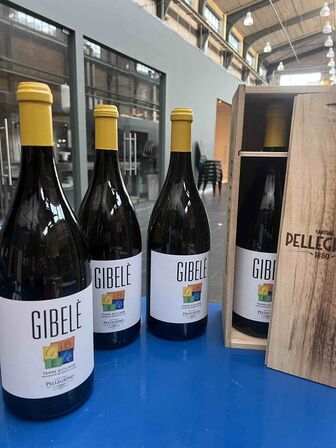 4 stk..Magnum Vin - Gibele