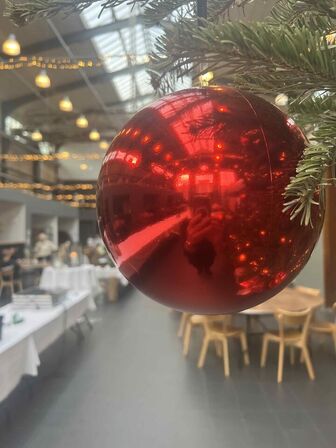 30 stk. store julelugler (Ø18cm) og en lang lyskæde