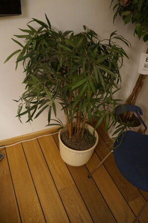 2 stk. stueplanter
