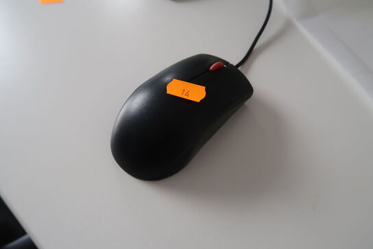 Computerskærm, dockingstation samt tastatur