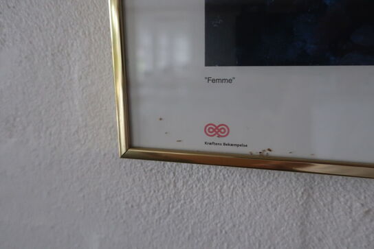 3 stk. indrammet plakater
