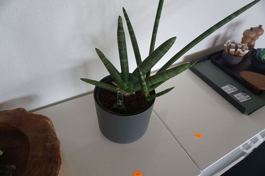 3 stk. reoler med indhold i 1 reol