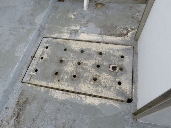 26 fod Starlet selvlænsende damjolle, glasfiber