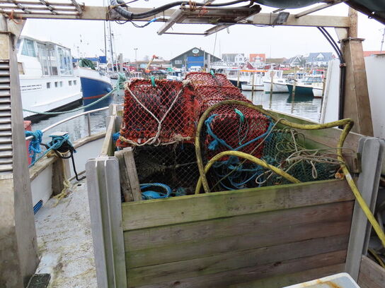 35 fod Nordsø, glasfiber, årgang 1985