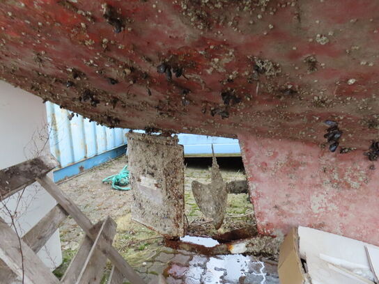 31 fod spejlgattet Dueholm m. frembygget styrehus, glasfiber, argang 1982