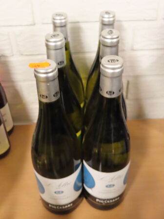 6 flasker chardonnay PIO CESARE L'ALTRO