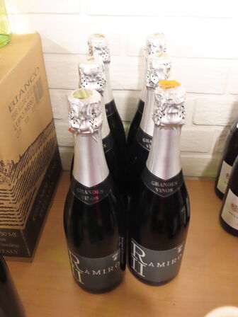 6 flasker grades vinos RAMIRO