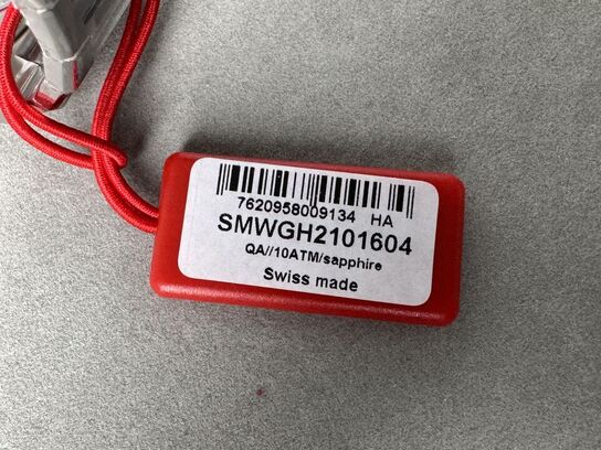 Armbåndsur SWISS MILITARY SMWGH2101604
