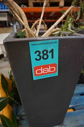 3 krukker med blomster (MOMSFRI) 