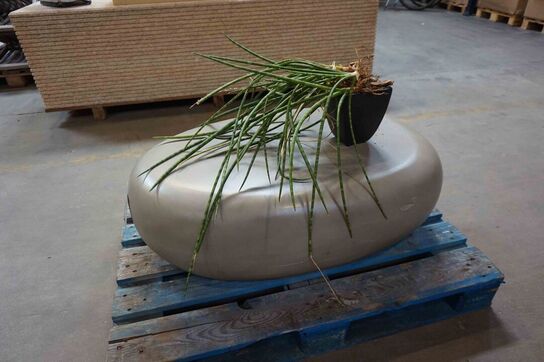 Potteplante på bord der ligner en sten (MOMSFRI) 