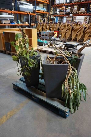 3 krukker med blomster (MOMSFRI) 