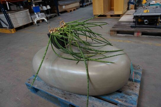 Potteplante på bord der ligner en sten (MOMSFRI) 