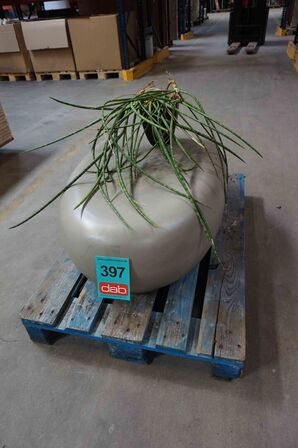 Potteplante på bord der ligner en sten (MOMSFRI) 